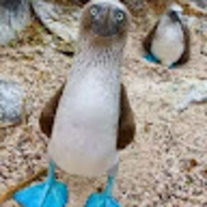 Meet your Posher, Joann